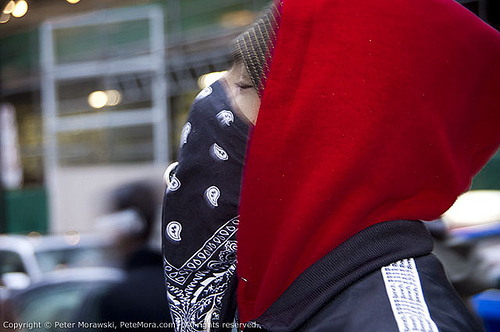 Occupy Toronto