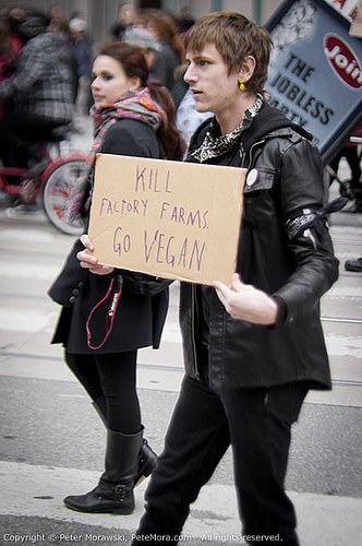 Occupy Toronto