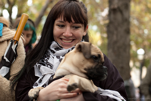 Occupy Toronto