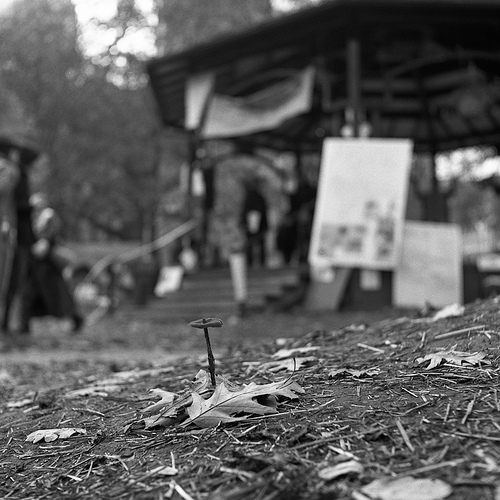 Occupy Toronto