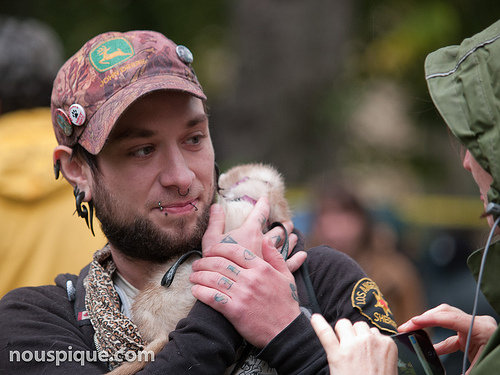 Occupy Toronto