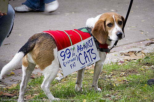 Occupy Toronto