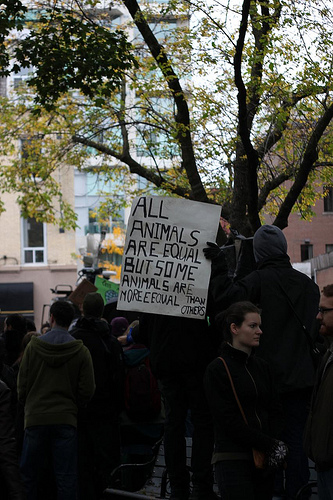 Occupy Toronto