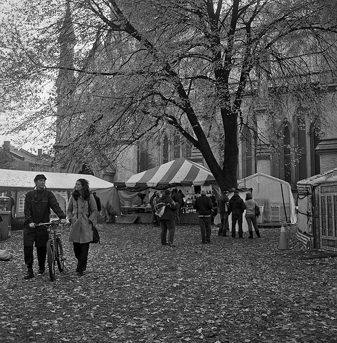 Occupy Toronto